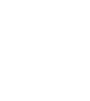 Northwest IT Company shield logo